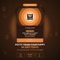 Puppy Potty Training Blueprint — Vet-Approved 7-Day System
