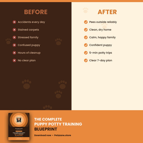 Puppy Potty Training Blueprint — Vet-Approved 7-Day System